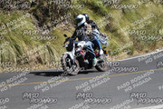 IMG-1386