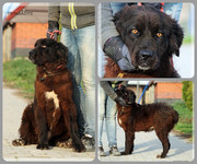 Be-Funky-collage-18.jpg&key=ff0282178a73