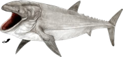 Leedsichthys 1