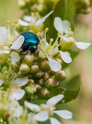IMG-20190424-115140-3