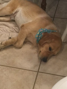 image_2023-02-02_230403537