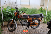 IMG-0512