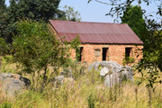 DSC-0186
