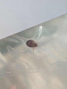 received_2486648495032148