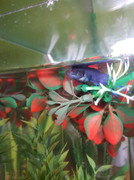 66852356_1298786966962014_3998252856200134656_n