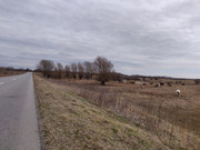 IMG-20200301-111124.jpg