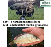 Kép