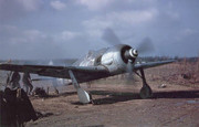 https://i.postimg.cc/G8T2DMrV/Fw-190-A-8.jpg