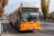IMG-1197