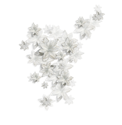 Winter-White-Elements-59