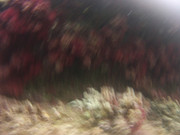 Abstract-A-Shapes-Assembled-Colorful-Art-Publicdomain-(24)