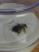 IMG 20260326 231133560 HDR PORTRAIT