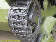 IMG-8845