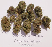 Weed-Gagarin-Haze