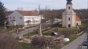 Kép