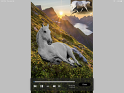 0857617C-43B1-4C60-B4A4-19852BA322F9