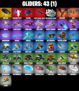 gliders-comp