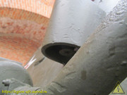 IMG-9941