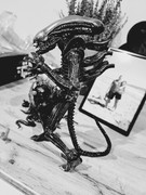 [Obrazek: 20241025-181121.jpg]