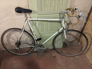 PXL_20221126_160731839