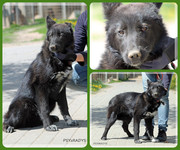 Be-Funky-collage-18.jpg&key=958e98bb0ff7