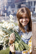 Olivia-Newton-Johnon-md33