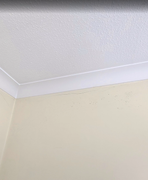 Screenshot-2026-03-11-at-13-34-22