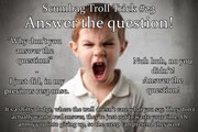 AnswerTrollTrick