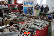 IMG-5257