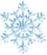BC-ATaste-Of-Winter-El-10