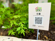 photo-20211123-iherbalgarden-020