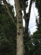 IMG-8316