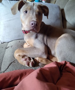 IMG_20220701_142139729