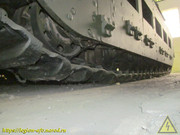 IMG-8681
