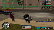 sa-mp-0000011