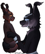 komo & rashi halfbody