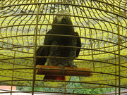 DSC08637.jpg