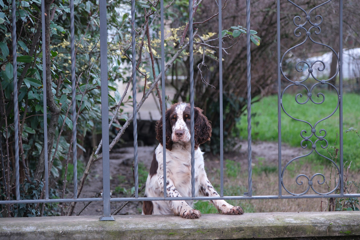 E0E12499-4729-49A2-99FC-C62C377D4098