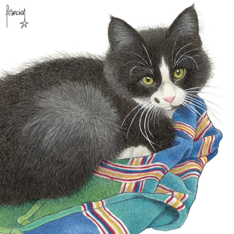 02-328623874-5834062583382631-1616839430249589405-n