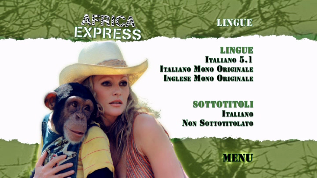 vlcsnap-2024-08-11-20h27m12s070