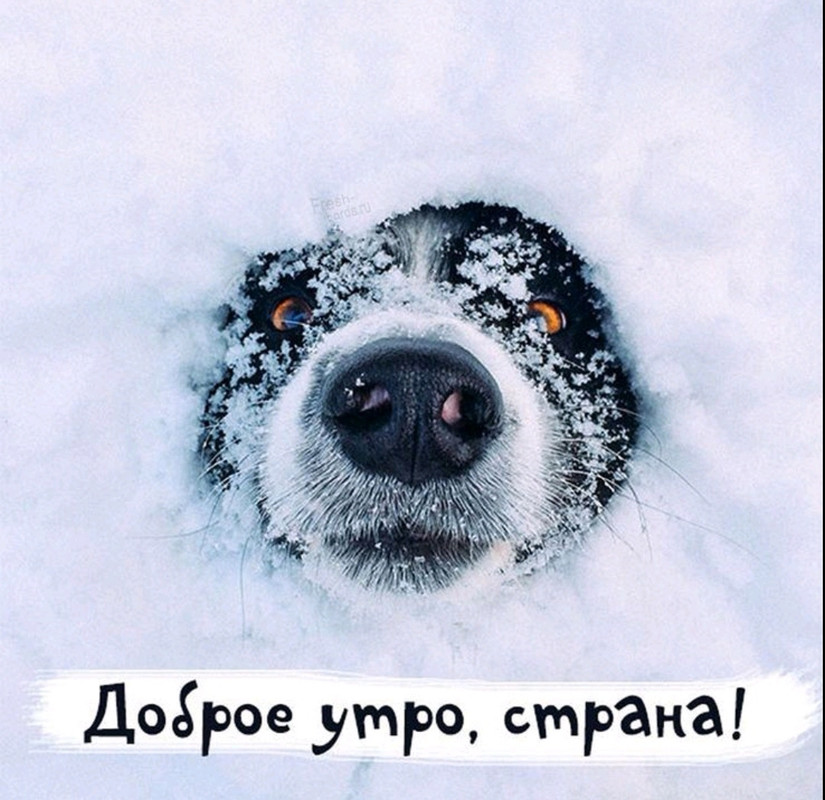 Screenshot-20221225-083224-com-viber-voi