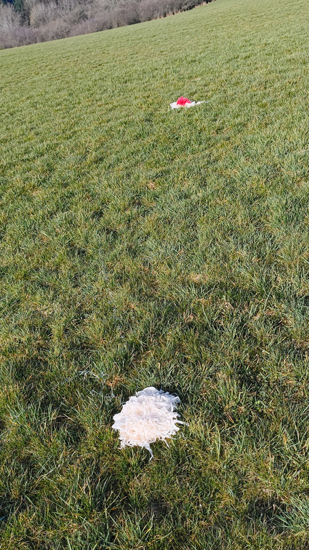 IMG 20260308 095231048