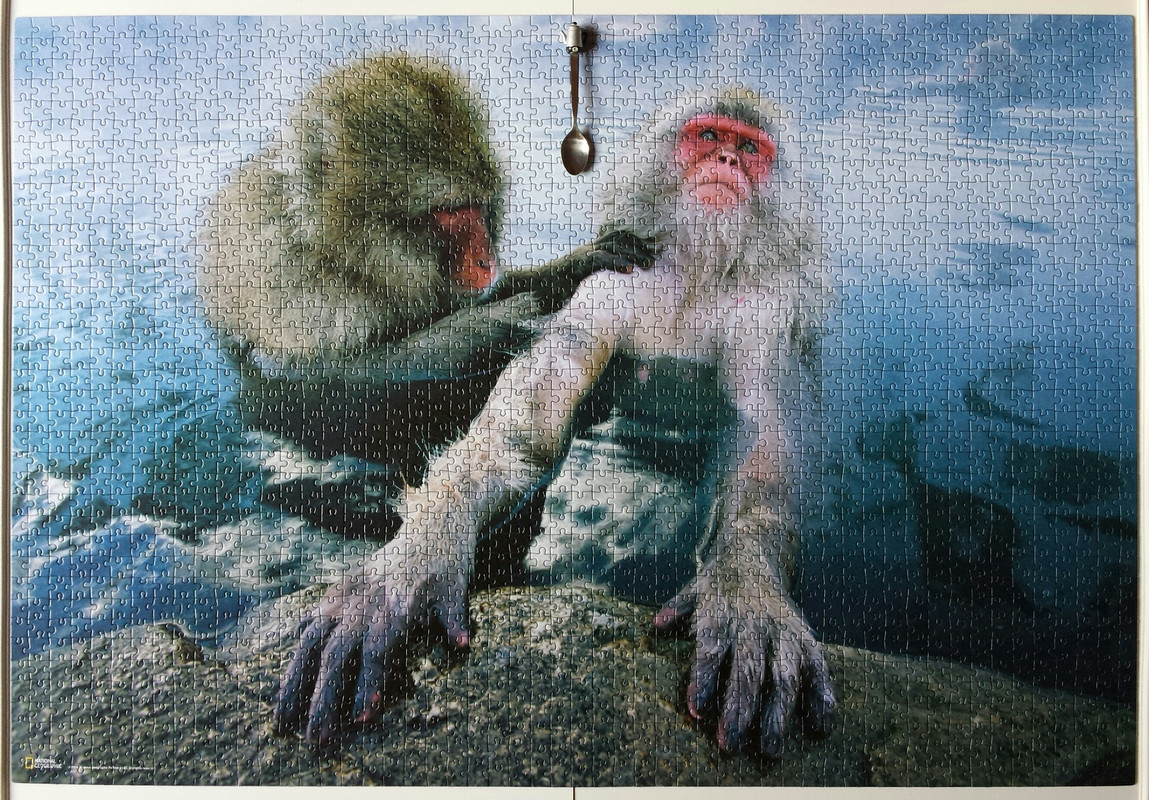 20170124_122516(0)-1-1