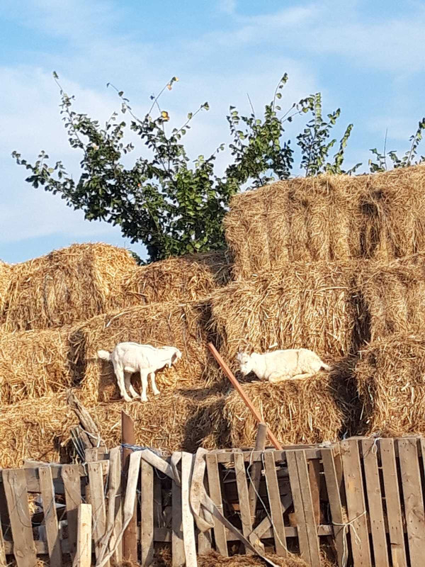 49BDDEDF-B5C0-4424-BD43-037AF8D56D8D