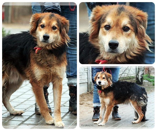 BeFunky-collage (26)