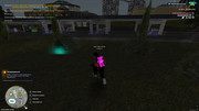 IMG-6758