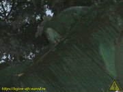 IMG-7218