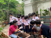 photo-littlefarmer2122-003