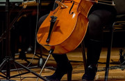 How to adjust a cello endpin - cello endpin adjustment
