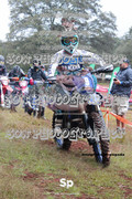 IMG-0047
